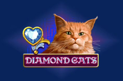 Diamond Cats